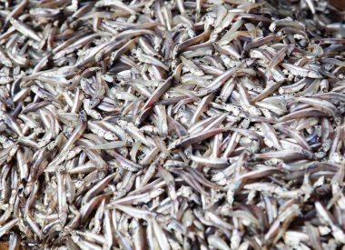 yığın küçük Akdeniz balık Market