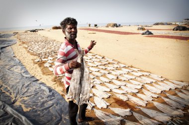Negombo, Sri Lanka - 31 Aralık: tanımlanamayan balıkçı d arasında