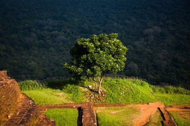 Sigiriya aslan kaya kale Sri Lanka görünümünden