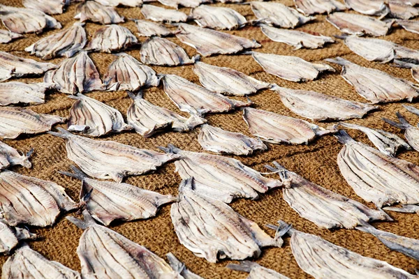 NEGOMBO, SRI LANKA - 31 DICEMBRE: Pescatore non identificato tra d — Foto Stock