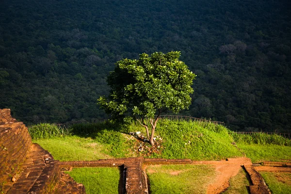 Vista dalla fortezza rocciosa del Leone di Sigiriya nello Sri Lanka — Foto Stock