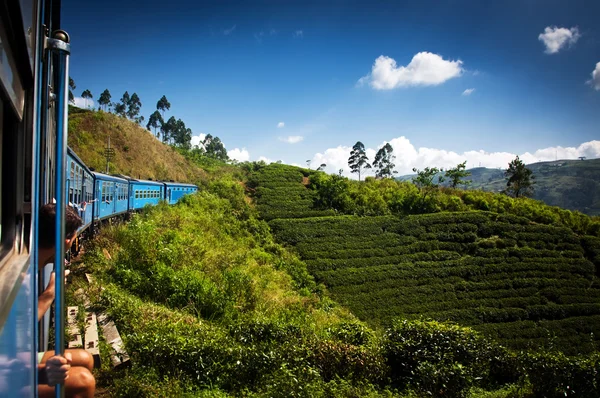 Pociąg z Nuwara Eliya do Kandy wśród plantacji herbaty w Witam — Zdjęcie stockowe