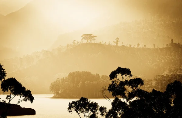 Panorama delle piantagioni di tè e lago al tramonto, Maskeliya, S — Foto Stock