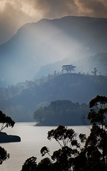 Panorama delle piantagioni di tè e lago al tramonto, Maskeliya, S — Foto Stock