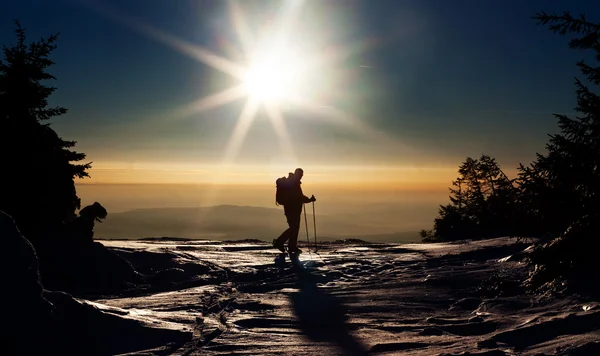 Backcountry lyžař dosáhl vrcholu při západu slunce — Stock fotografie