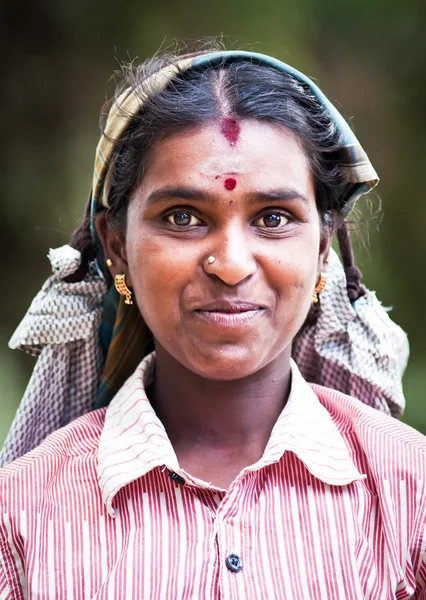 MASKELIYA, SRI LANKA - JANUARY 4 : Female tea picker in tea plantation in Maskeliya, January 4, 2015. Directly and indirectly, over one million Sri Lankans are employed in the tea industry. — Stock Photo, Image