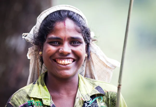 MASKELIYA, SRI LANKA - 4 GENNAIO: raccoglitrice di tè femminile nella piantagione di tè a Maskeliya, 4 gennaio 2015. Direttamente e indirettamente, oltre un milione di srilankesi sono impiegati nell'industria del tè . — Foto Stock