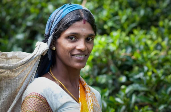 MASKELIYA, SRI LANKA - 5 GENNAIO: raccoglitore di tè femminile nel piano di tè — Foto Stock