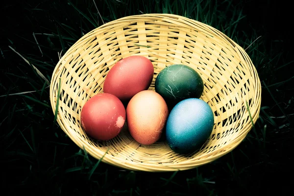 Yumurta ve sevimli kuzu ve bunny Paskalya dekorasyon — Stok fotoğraf