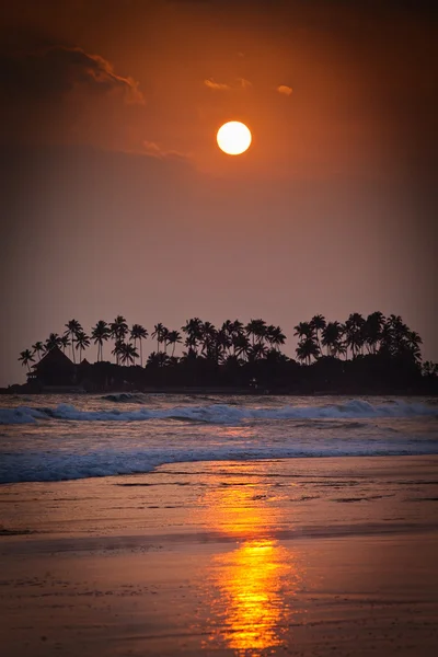 Sunset on tropical beach — Stock Photo, Image