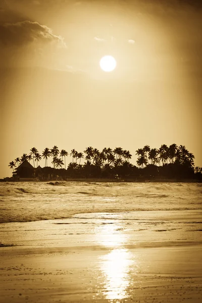 Sonnenuntergang am tropischen Strand — Stockfoto