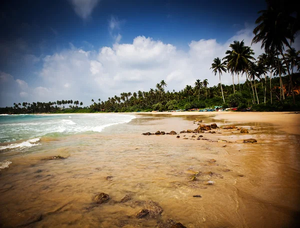 Verano en la playa tropical — Foto de Stock