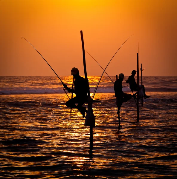 Silhouettes of the traditional stilt fishermen at the sunset nea — Stock Photo, Image