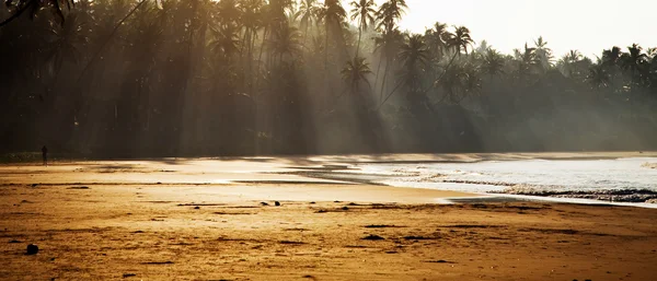 Tropisch strand bij dageraad — Stockfoto