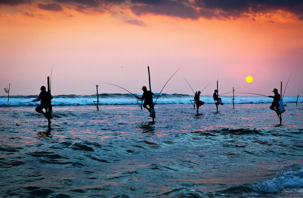 Silhouettes of the traditional stilt fishermen at the sunset nea