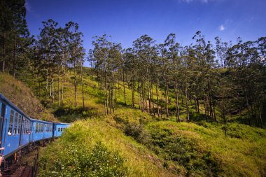 Tren Nuwara Eliya Kandy için çay tarlaları arasında Merhaba