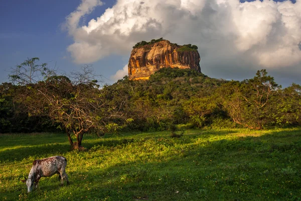 Sigiriya lion rock twierdzy w sri lanka — Zdjęcie stockowe