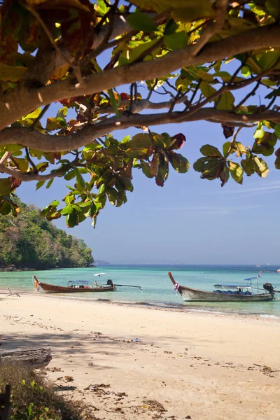 Longtail båtar på den vackra stranden, Thailand — Stockfoto