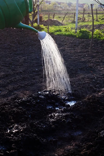 Spring drenken van zaden in de tuin — Stockfoto