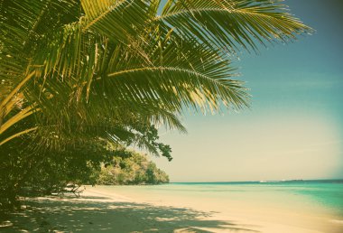 Bakir tropik beach, Tayland