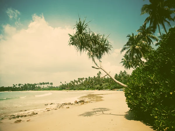 Summertime at Tropical Beach — Stock Photo, Image