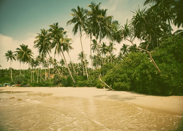 Summertime at Tropical Beach — Stock Photo, Image