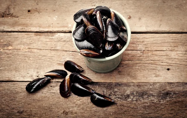 Mussels — Stock Photo, Image