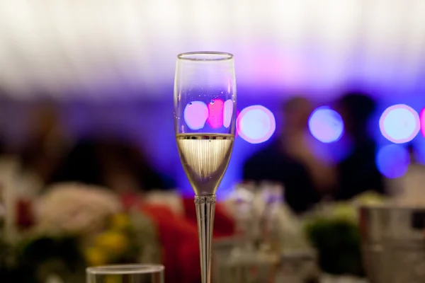 Glass with champagne lit by nightclub lights — Stock Photo, Image