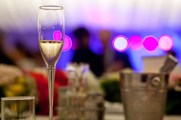 Glass with champagne lit by nightclub lights — Stock Photo, Image