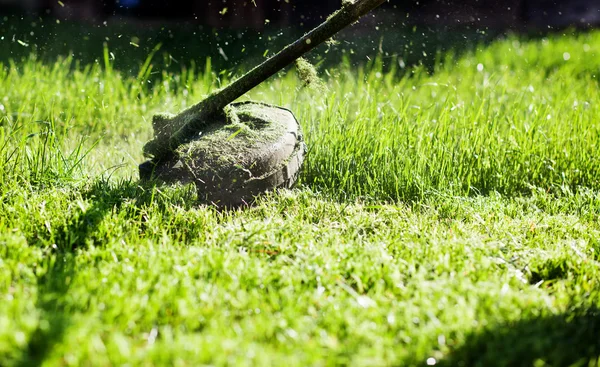 Mowing a lawn with a lawn mower — Stock Photo, Image