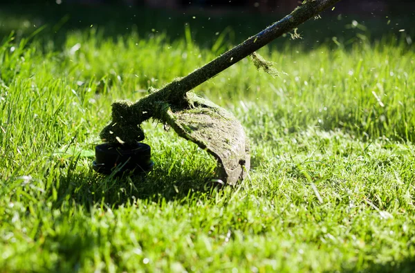 Cortando um gramado com um cortador de grama — Fotografia de Stock
