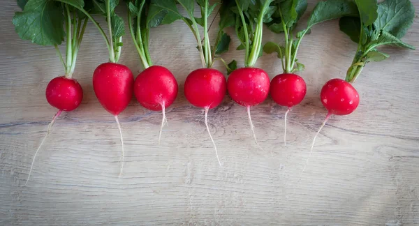 Bund frischer Radieschen auf altem Holztisch - Bio-Lebensmittel — Stockfoto