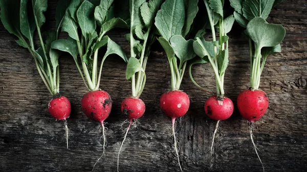 Bouquet de radis frais sur une vieille table en bois - nourriture bio — Photo