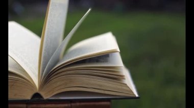 Rüzgar yeşil arkaplan üzerine eski kitap sayfalarını çeviriyor