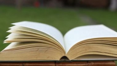 Açık kitap sayfaları Rüzgar tarafından üflenir ile