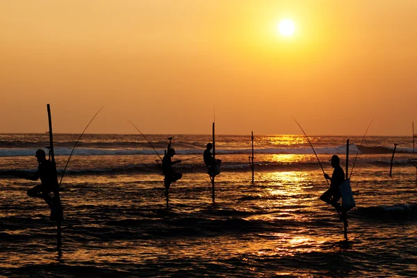 Silhouettes of the traditional stilt fishermen at sunset near Ga — Stock Photo, Image