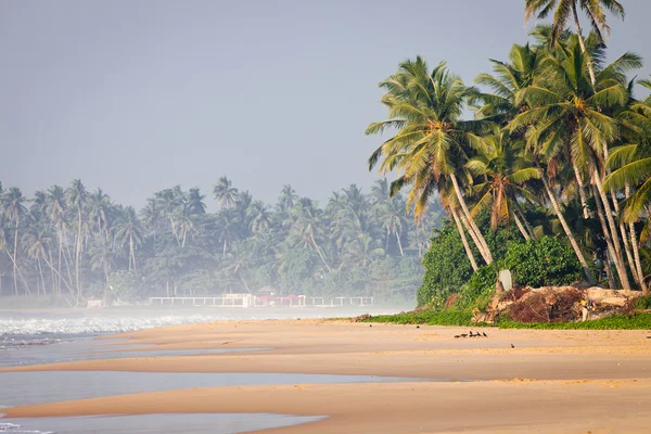 Praia tropical intocada com barco de pesca no Sri Lanka — Fotografia de Stock