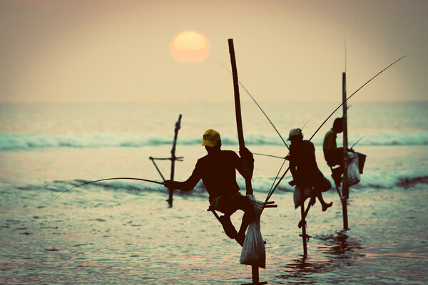 Silhouettes of the traditional stilt fishermen at sunset near Ga