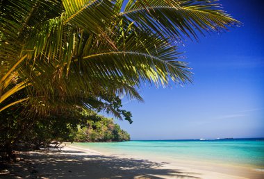 Bakir tropik beach, Tayland
