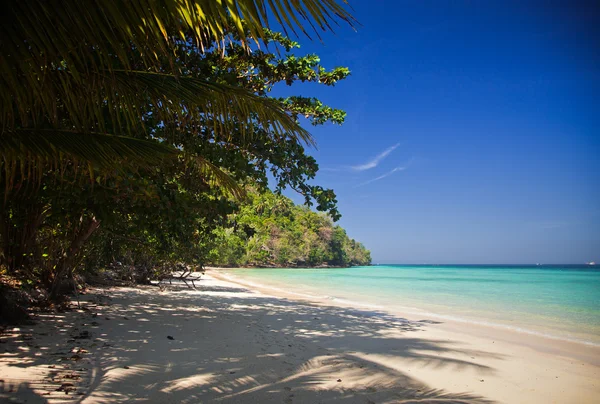 Dziewiczej tropikalnej plaży, Tajlandia — Zdjęcie stockowe