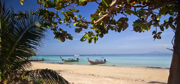 Barcos de cauda longa na bela praia, Tailândia — Fotografia de Stock