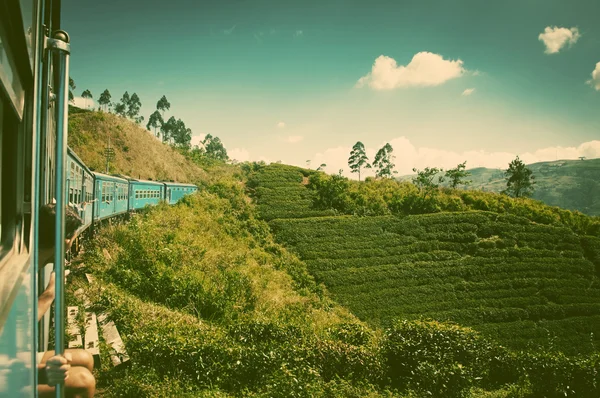 Vlak z Nuwara Eliya do Kandy mezi čajové plantáže v Ahoj — Stock fotografie