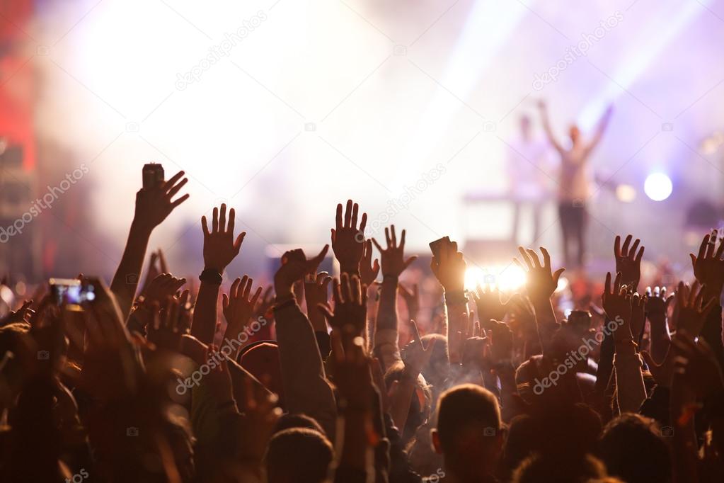 Crowd at concert