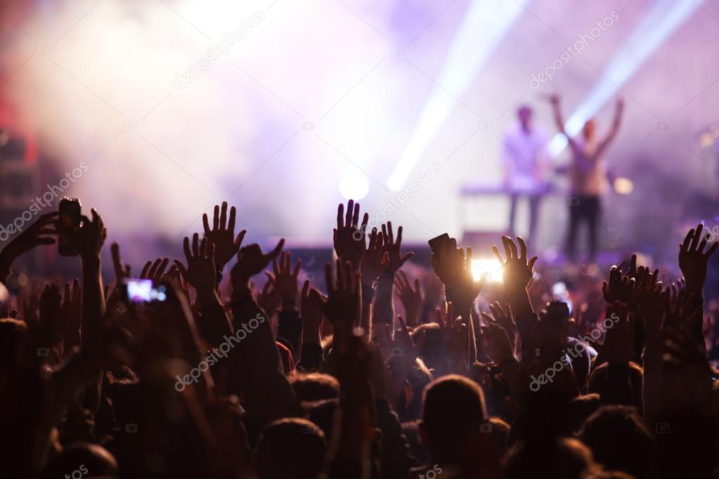 Crowd at concert