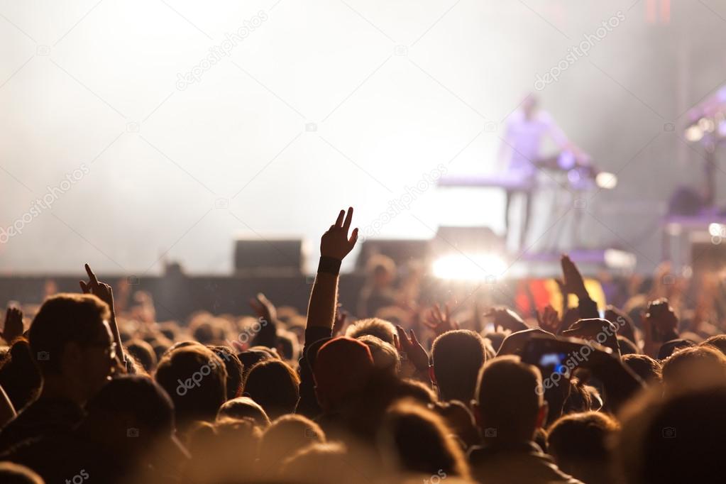 Crowd at concert