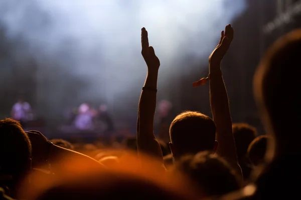 Multitud en concierto — Foto de Stock