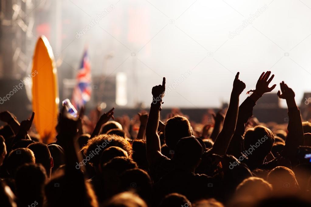 Crowd at concert