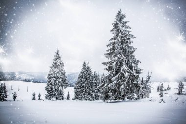 Karlı kış manzarasının arka planında karla kaplı ya da köknar ağaçları ve fotokopi alanı - kış büyülü bayramı
