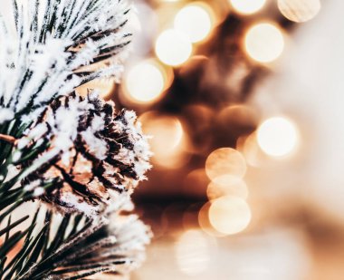 altın arka plan üzerinde Noel ağacı baranchesn