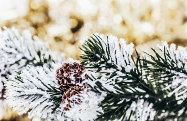 altın arka plan üzerinde Noel ağacı baranchesn